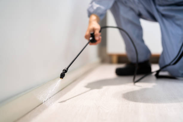 Licensed Mosquito Control service in Daly City, CA - Show Me Pest Control