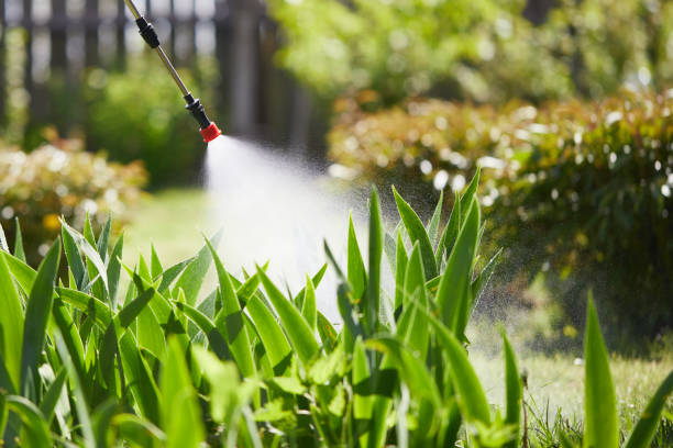 24/7 Emergency Mosquito Control experts in Daly City, CA
