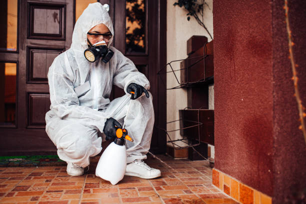 Reliable Mosquito Control contractor in Daly City, CA by Show Me Pest Control