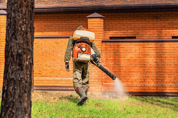 Top rated local Mosquito Control specialists in Daly City, CA